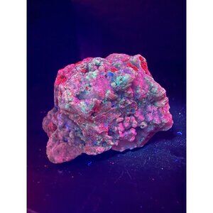 UV Reactive Raw Green Chrysoprase Crystal | 1.92" Heart Chakra Healing Stone